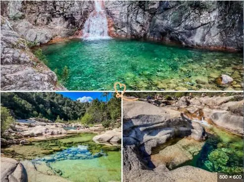 Albergue A Castagna Ucciani